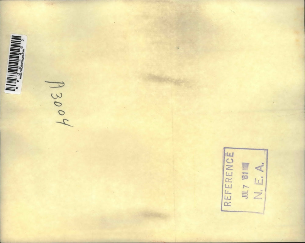 1961 Press Photo Conservation men were called by polise, chase terrified cow