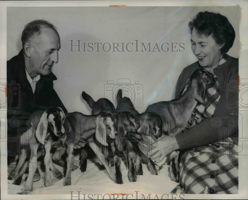 1950 Press Photo Mr. and Mrs. Frank Corbus nursing their quintuplet goats