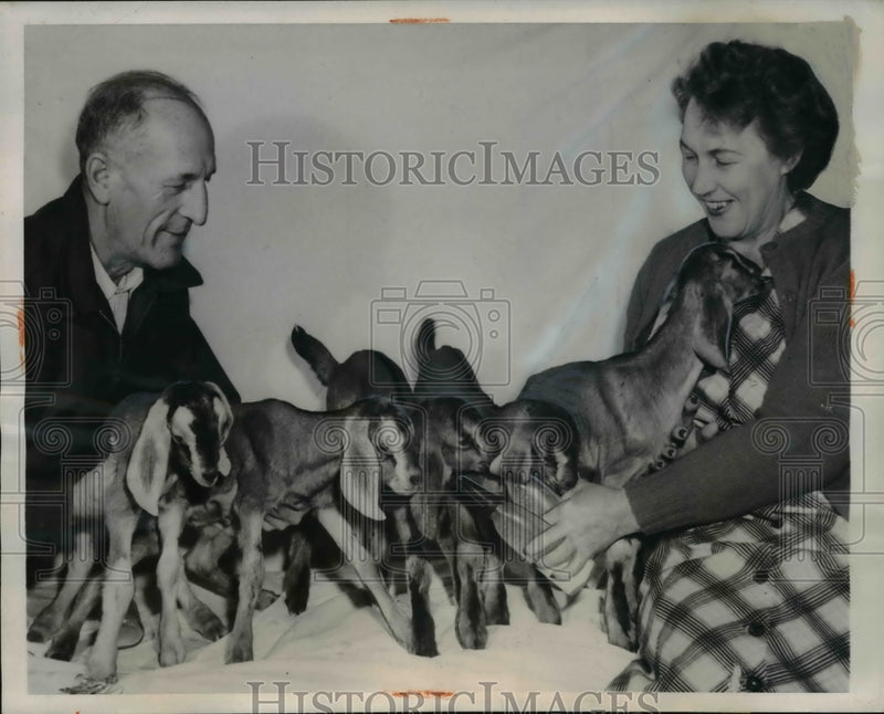 Load image into Gallery viewer, 1950 Press Photo Mr. and Mrs. Frank Corbus nursing their quintuplet goats
