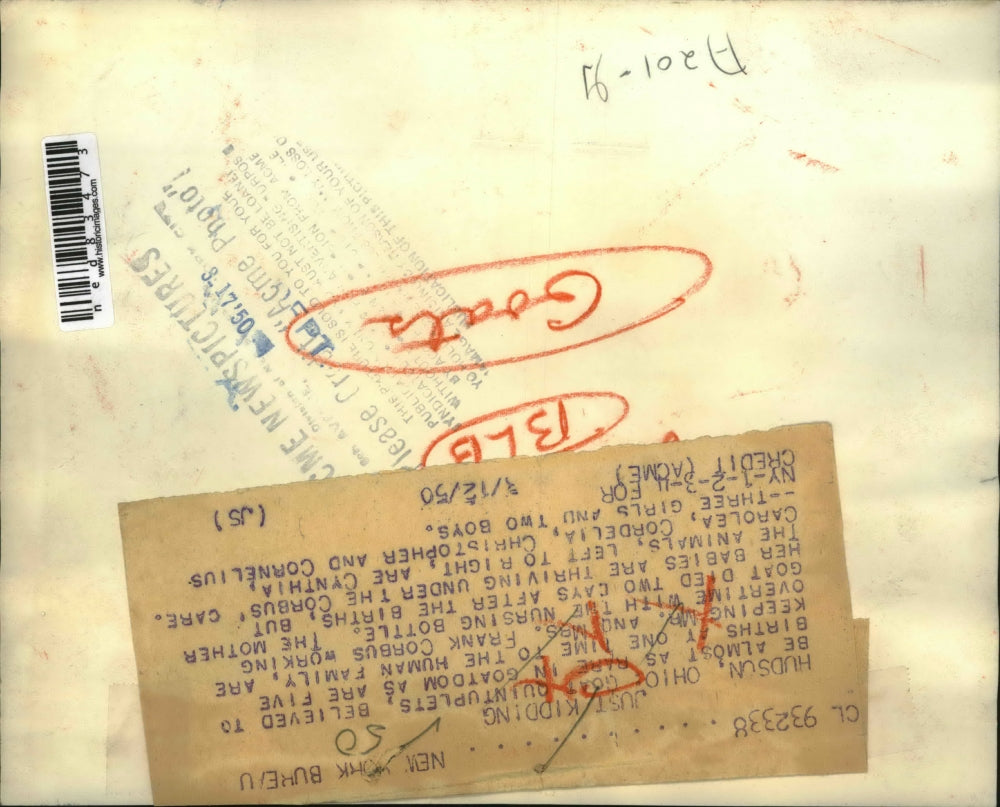 1950 Press Photo Mr. and Mrs. Frank Corbus nursing their quintuplet goats