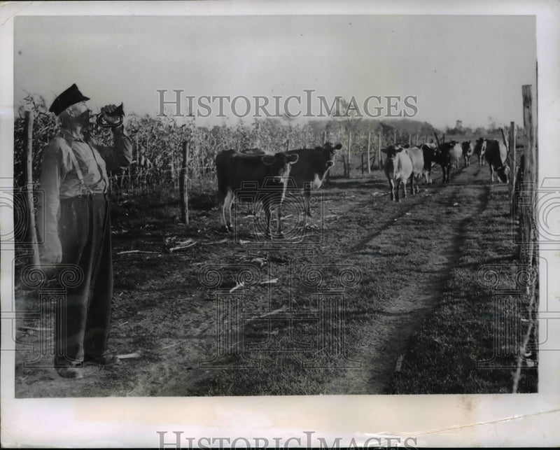Load image into Gallery viewer, 1950 Press Photo Fennville Mich farmer Ami Miller calling his cows to milking

