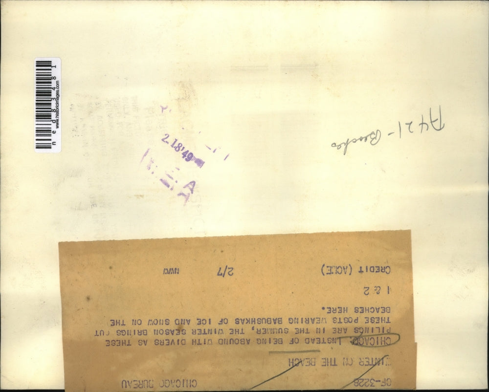 1949 Press Photo Chicago Ill. posts in Lake michigan covered in ice & snow