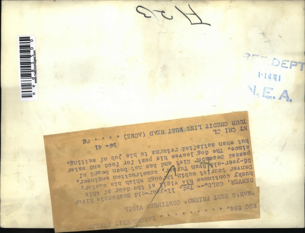 1941 Press Photo Ted, 11-year-old Mackenzie River Husky, owned by Ryan Turner