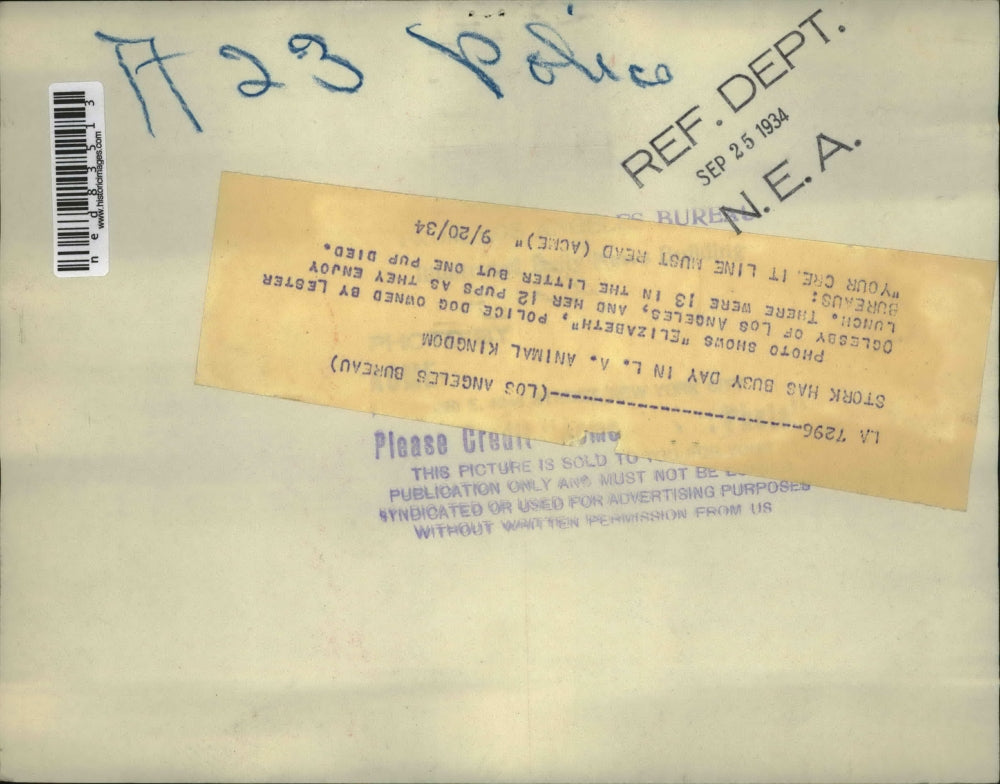 1934 Press Photo Elizabeth the Police dog owned by Lester Oglesby & her 12 pups