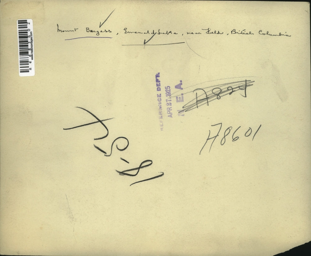 1925 Press Photo Mount Burgess, Emerald Lake at British Columbia