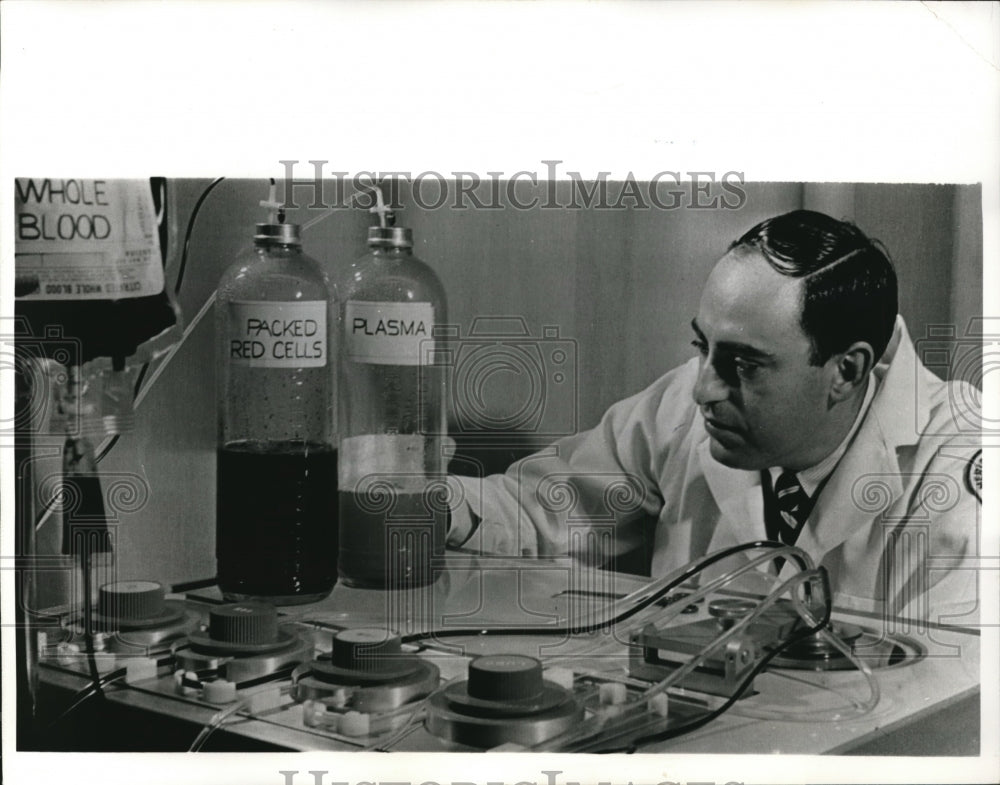 1966 Press Photo Allan Kliman, director of the Red Cross Blood Program