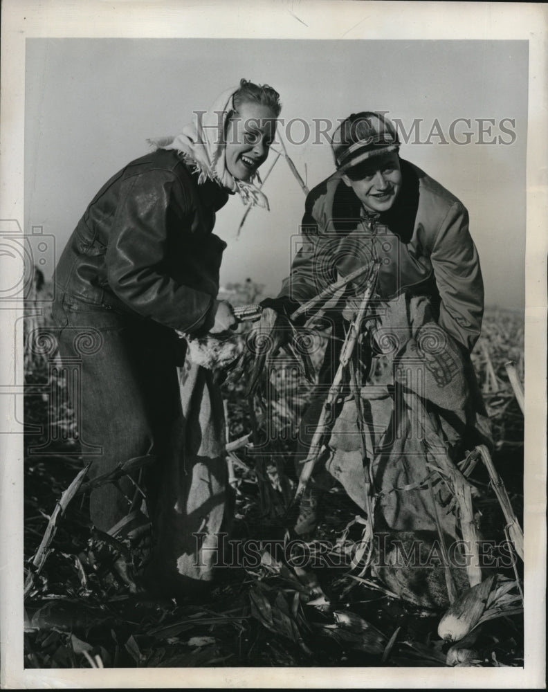 1947 Press Photo Illinois Students Loraine Behrns, Sy Stiss Harvesting Corn