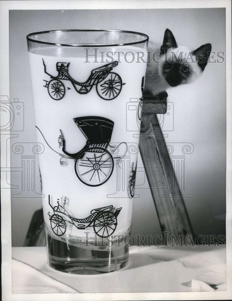 1959 Press Photo Seven quarts of milk fills this outside Tumbler.