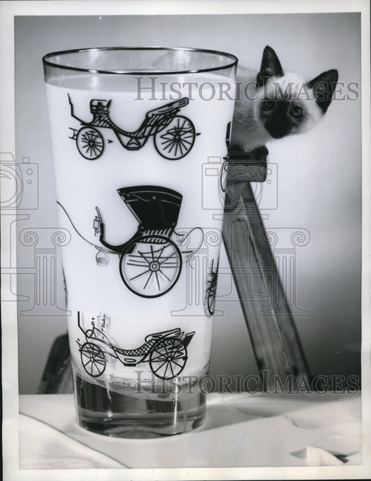 1959 Press Photo Seven quarts of milk fills this outside Tumbler.