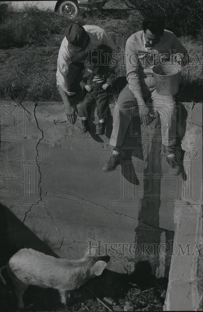 1956 Press Photo Harold Palmer Feeding Pig Living in Basement, Tyrone, Oklahoma