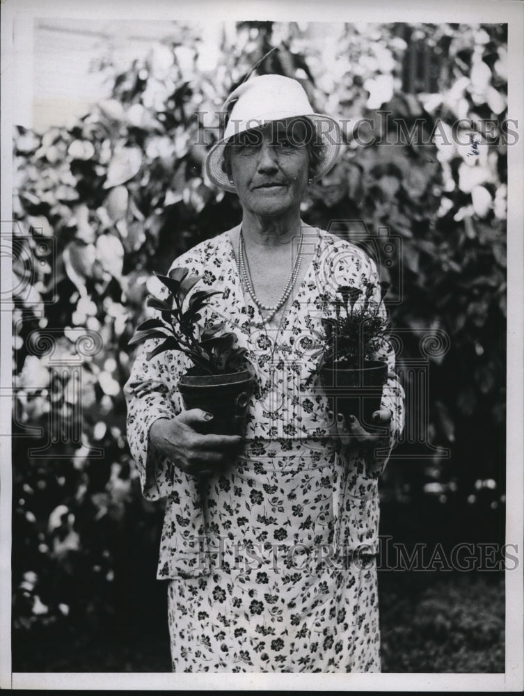 1934 Press Photo Mrs George Alexander McKinlock President of Palm Beach Garden