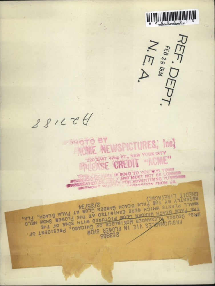 1934 Press Photo Mrs George Alexander McKinlock President of Palm Beach Garden