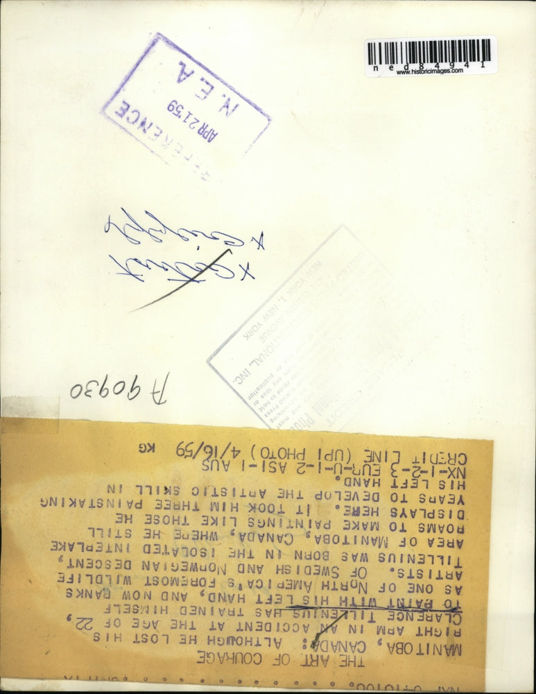 1959 Press Photo Manitoba Canada, Clarence Tillenius wildlife painter