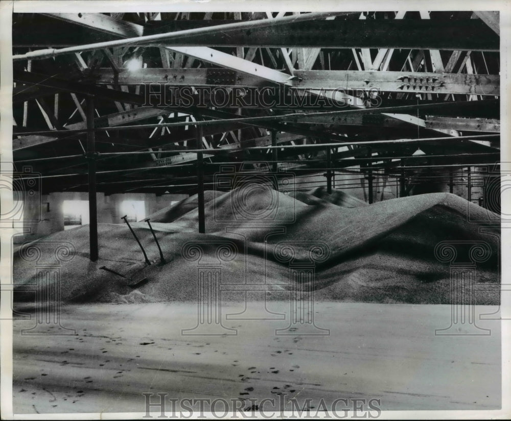 1950 Press Photo The mountains of barley in a distillery loft