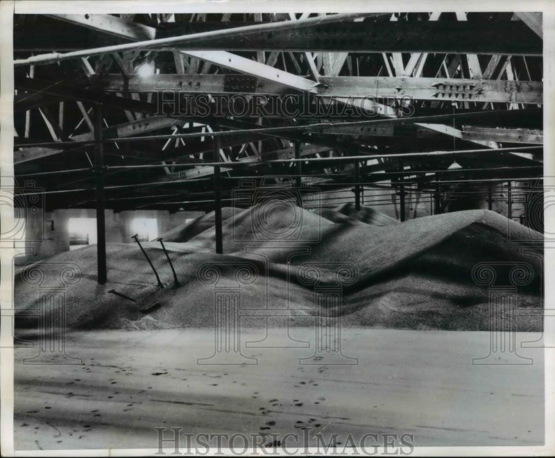 Load image into Gallery viewer, 1950 Press Photo The mountains of barley in a distillery loft

