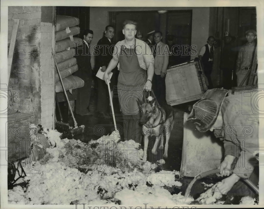 1939 Press Photo Seeing Eye Dog Pecha Saves Blind David Strelow From Fire
