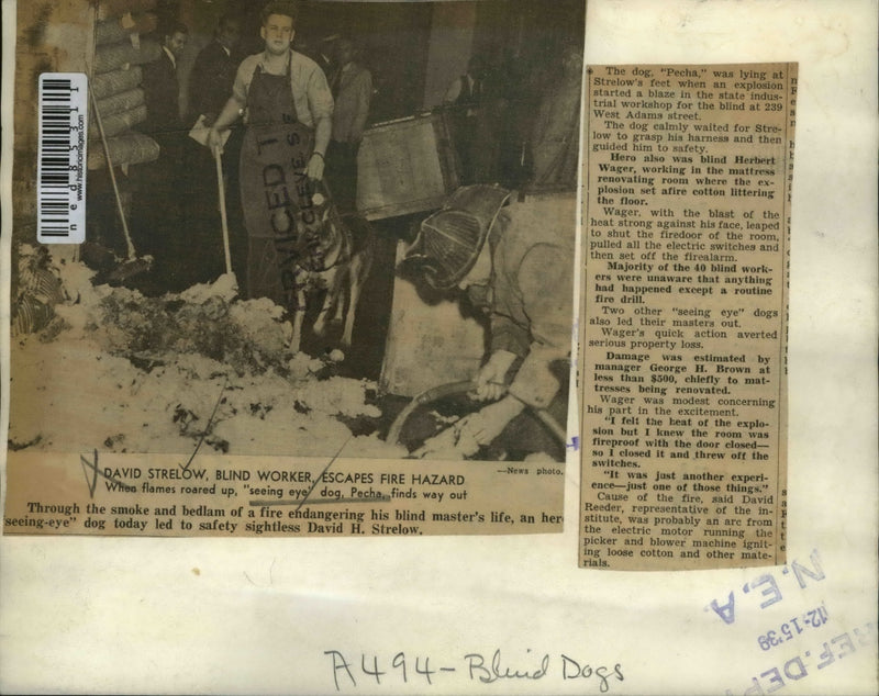 Load image into Gallery viewer, 1939 Press Photo Seeing Eye Dog Pecha Saves Blind David Strelow From Fire
