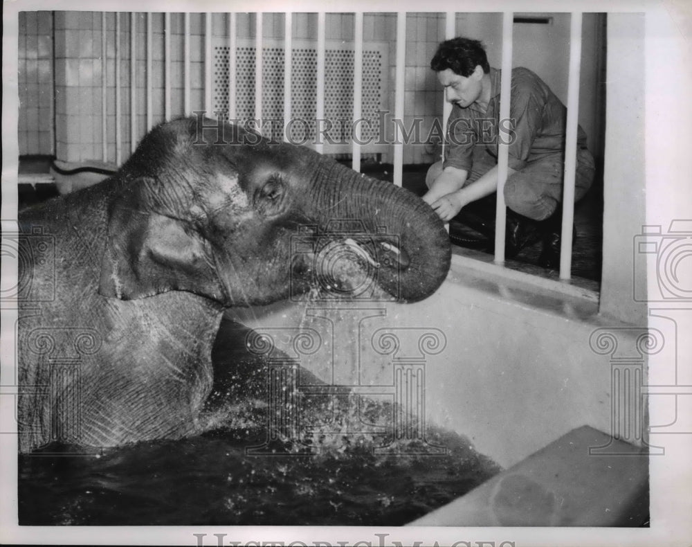 1955 Press Photo "Shanti", The Elephant Likes Her Bath Tusk-Brushing