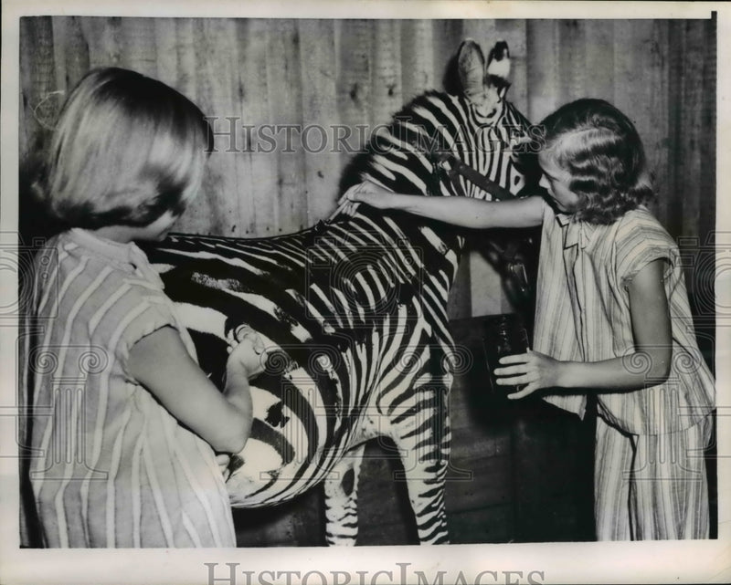 Load image into Gallery viewer, 1954 Press Photo Furuvik Sweded 2 Swedish youngsters help Sari the zebra from
