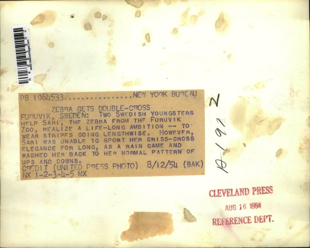 1954 Press Photo Furuvik Sweded 2 Swedish youngsters help Sari the zebra from