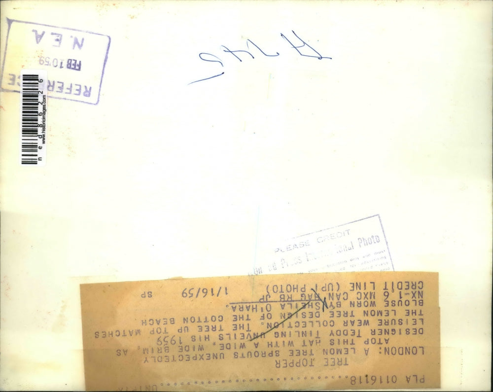 1959 Press Photo Sheila O'Hara Wears Tree Hat