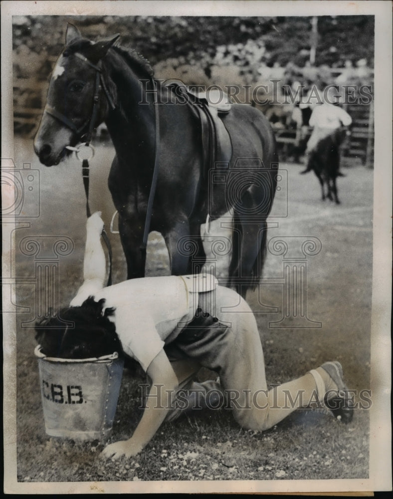 Load image into Gallery viewer, 1951 Press Photo Mavis Wilkins sticking head in the bucket while horse look on
