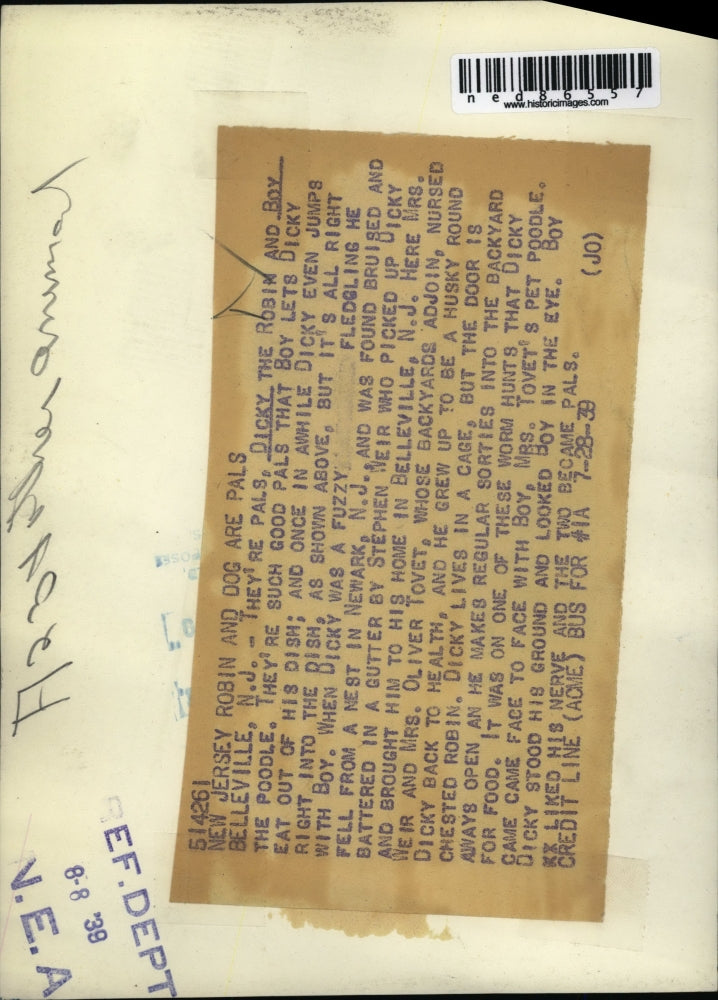 1939 Press Photo Good pals Dicky, the Robin, and Boy, the Poodle