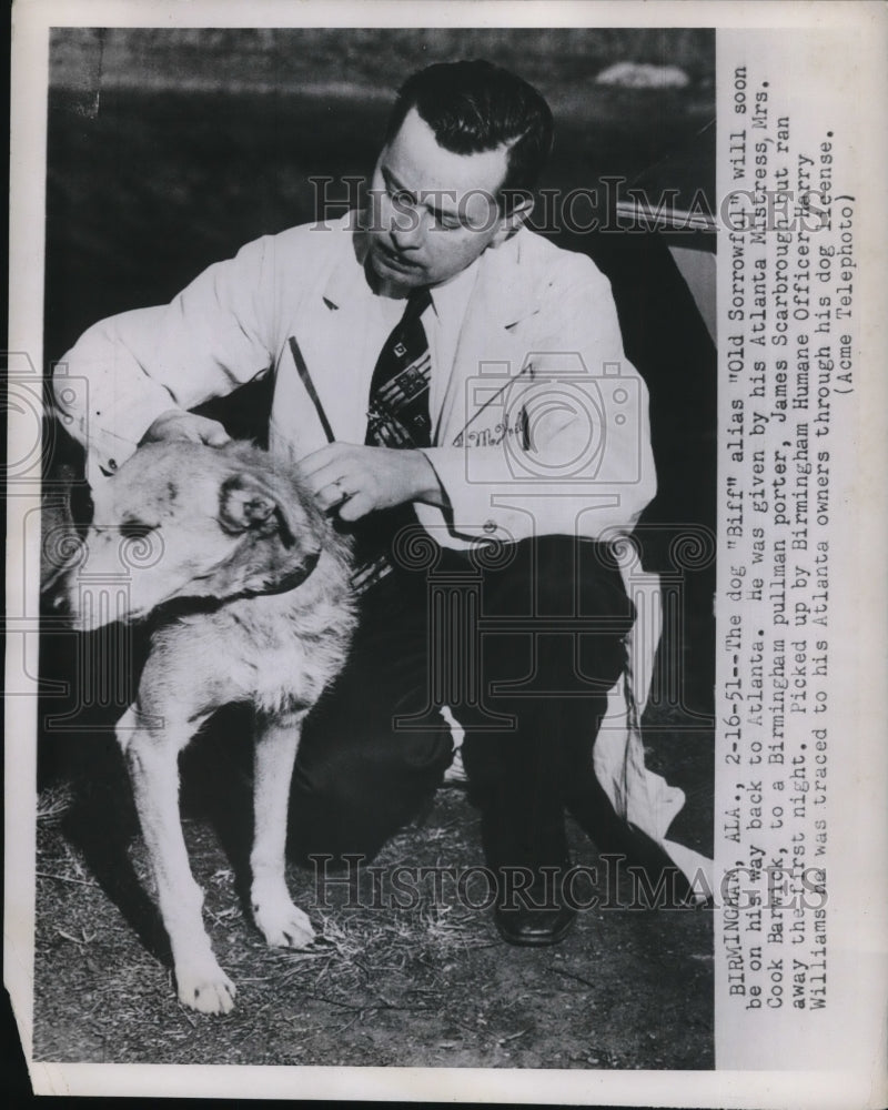 1951 Press Photo of Biff the Dog Human Officer HarryWillaims