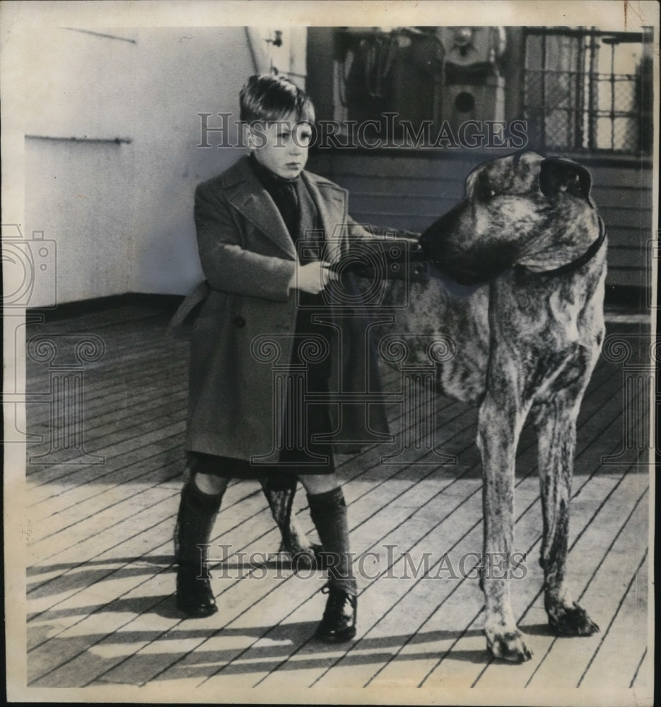 1947 Press Photo of the Largest great Dane at the time at 168 pounds with his