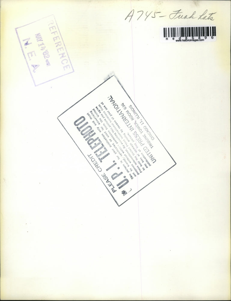 1962 Press Photo Swallows Come Back to Capistrano by Victor Yack - ned86896