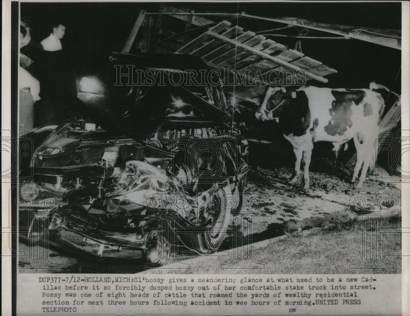 Load image into Gallery viewer, 1952 Press Photo Bossy was forcible dumped out on this accident
