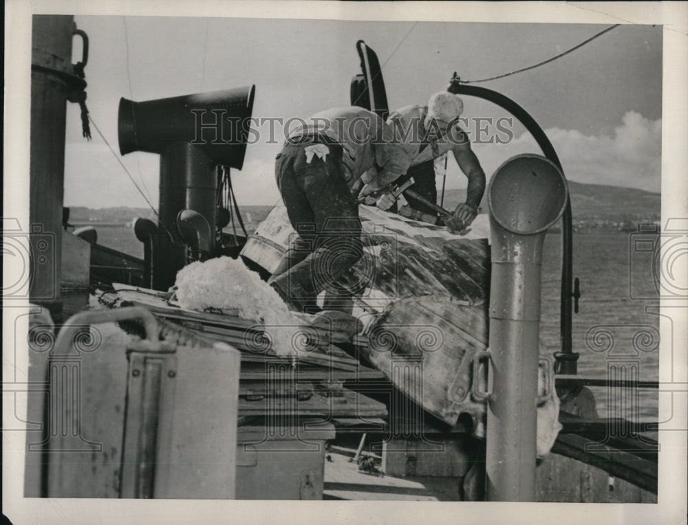 1940 Press Photo Belgian tanker Laurent Meeus joins stranded fleet of war ships