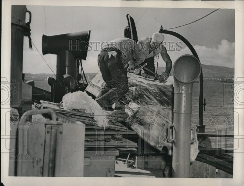 Load image into Gallery viewer, 1940 Press Photo Belgian tanker Laurent Meeus joins stranded fleet of war ships
