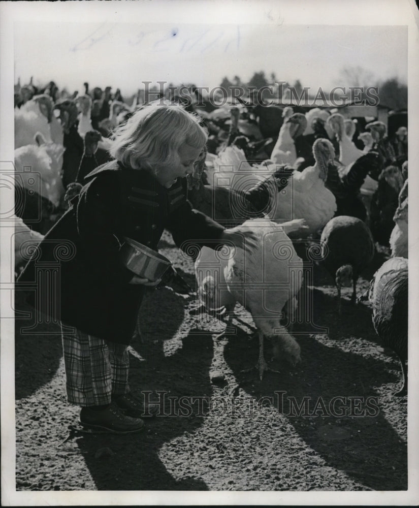 1952 Press Photo of Pamela Stevens 4, feeding turkeys.