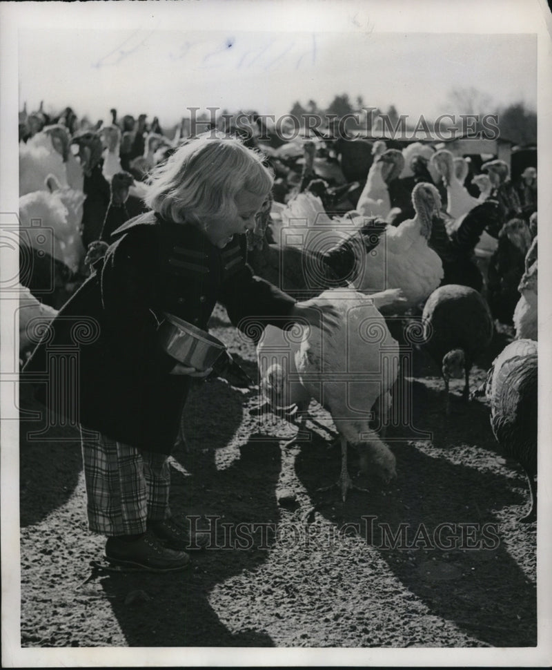Load image into Gallery viewer, 1952 Press Photo of Pamela Stevens 4, feeding turkeys.
