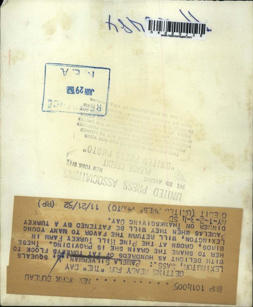 1952 Press Photo of Pamela Stevens 4, feeding turkeys.