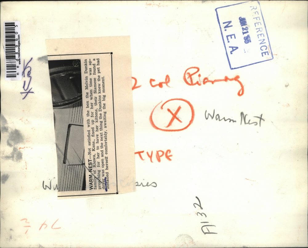 1955 Press Photo The Dunkin Family's Siamese cat inside their dryer