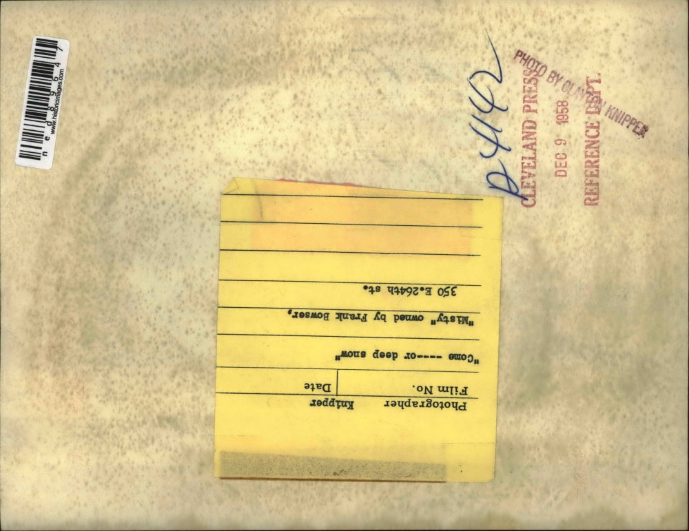 1958 Press Photo "Misty" owned by Frank Bowser looks at the hydrant