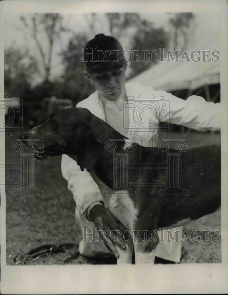 Load image into Gallery viewer, 1934 Press Photo "Jubulee"" judged as outstanding dog hound at the horse show
