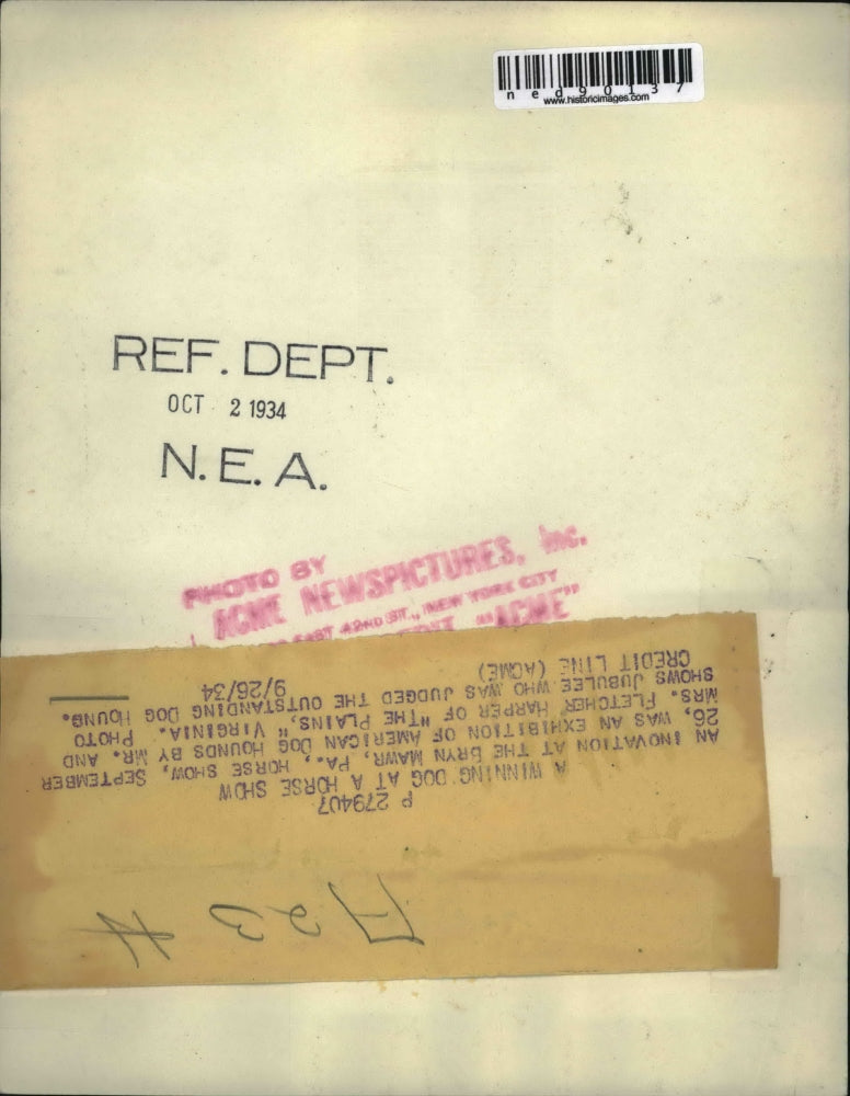 1934 Press Photo "Jubulee"" judged as outstanding dog hound at the horse show