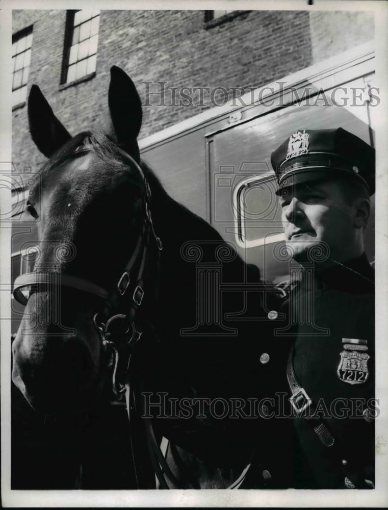 1968 Press Photo A policemen and his mount in New York