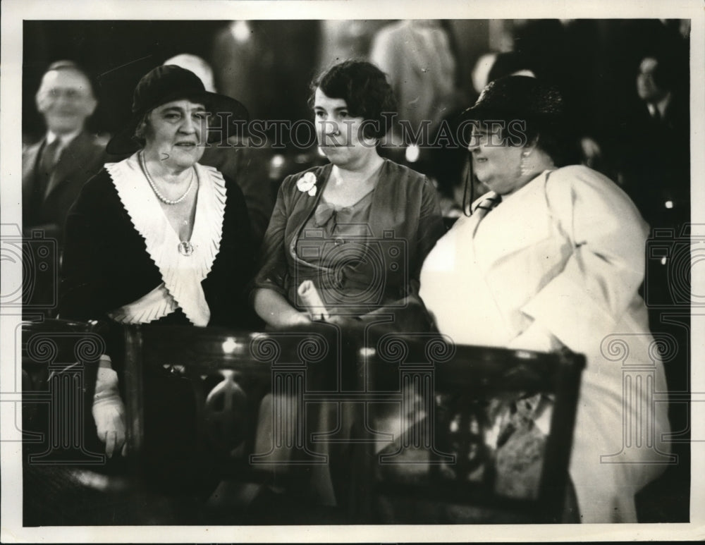 1932 Press Photo Women Members of the New York State Dekegaion