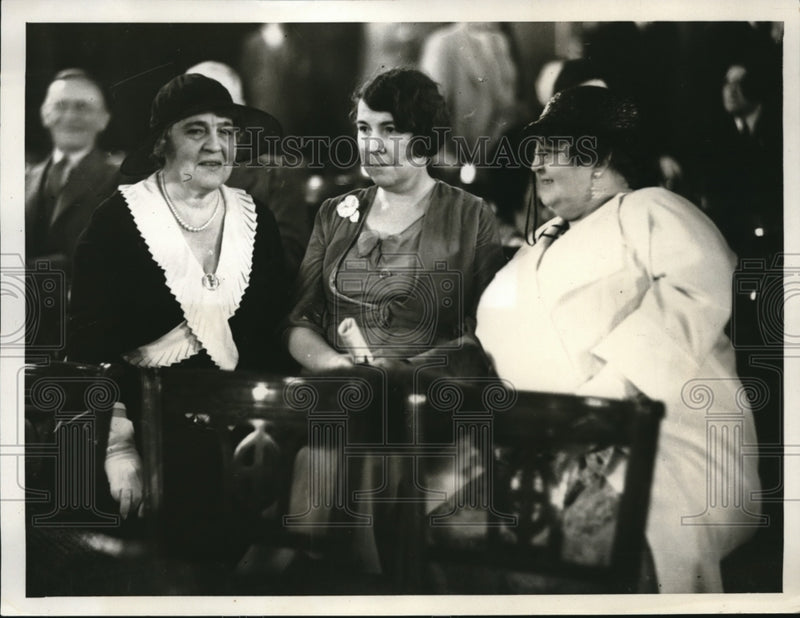 Load image into Gallery viewer, 1932 Press Photo Women Members of the New York State Dekegaion
