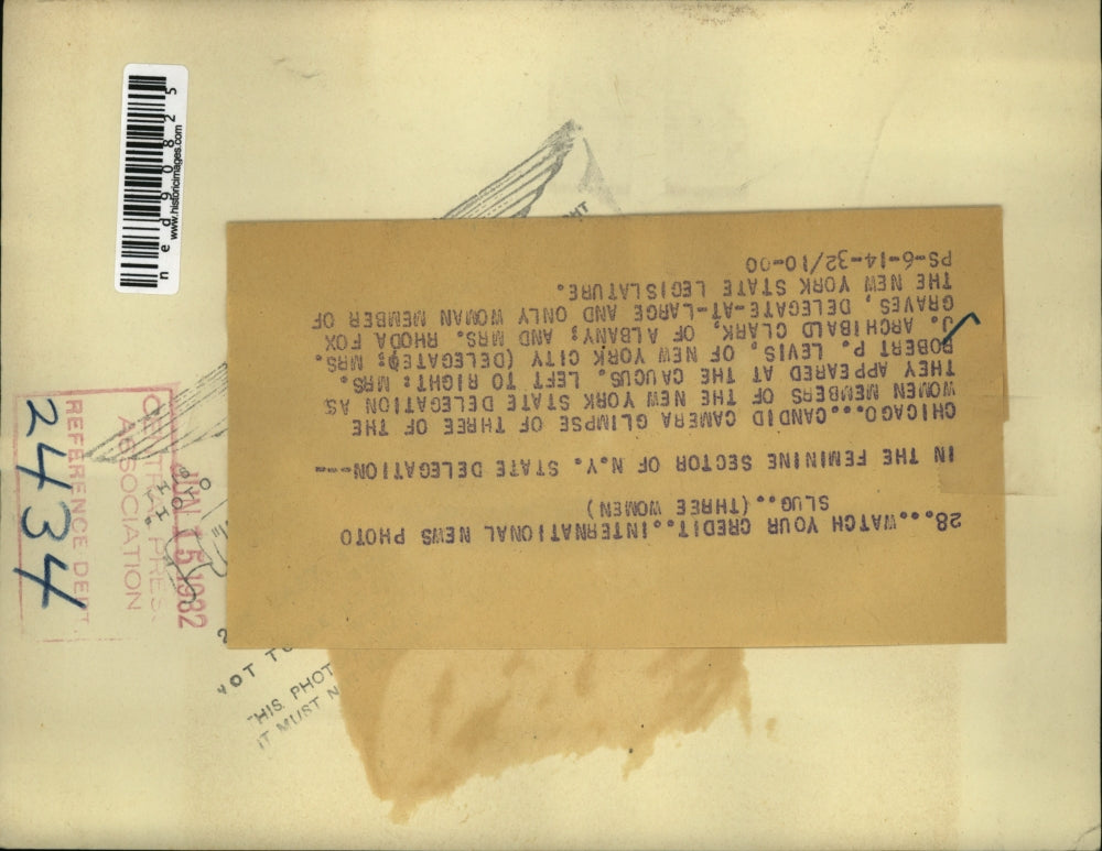 1932 Press Photo Women Members of the New York State Dekegaion