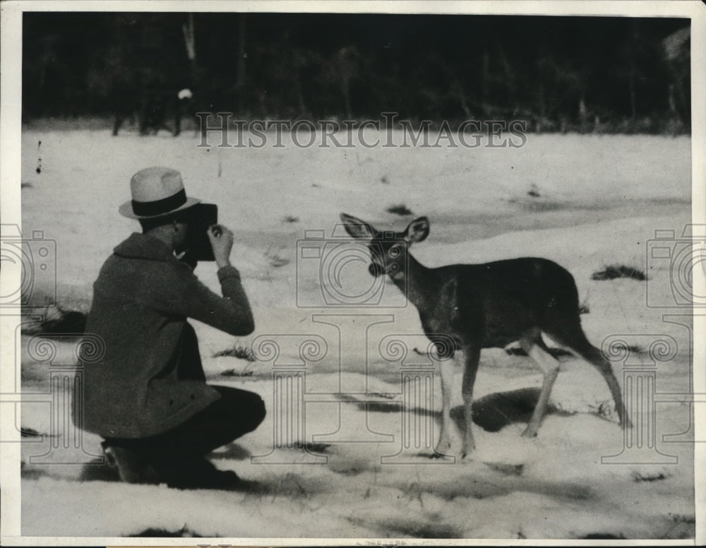 1931 Press Photo A man taking a picture of a deer at the Sequoia National Park