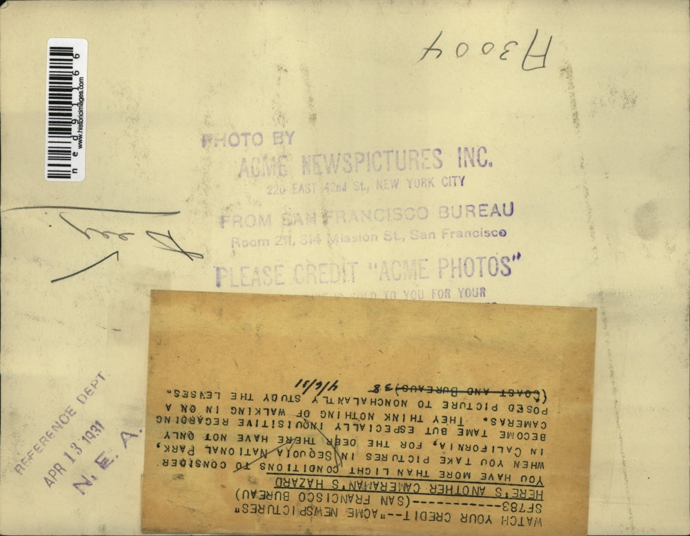 1931 Press Photo A man taking a picture of a deer at the Sequoia National Park