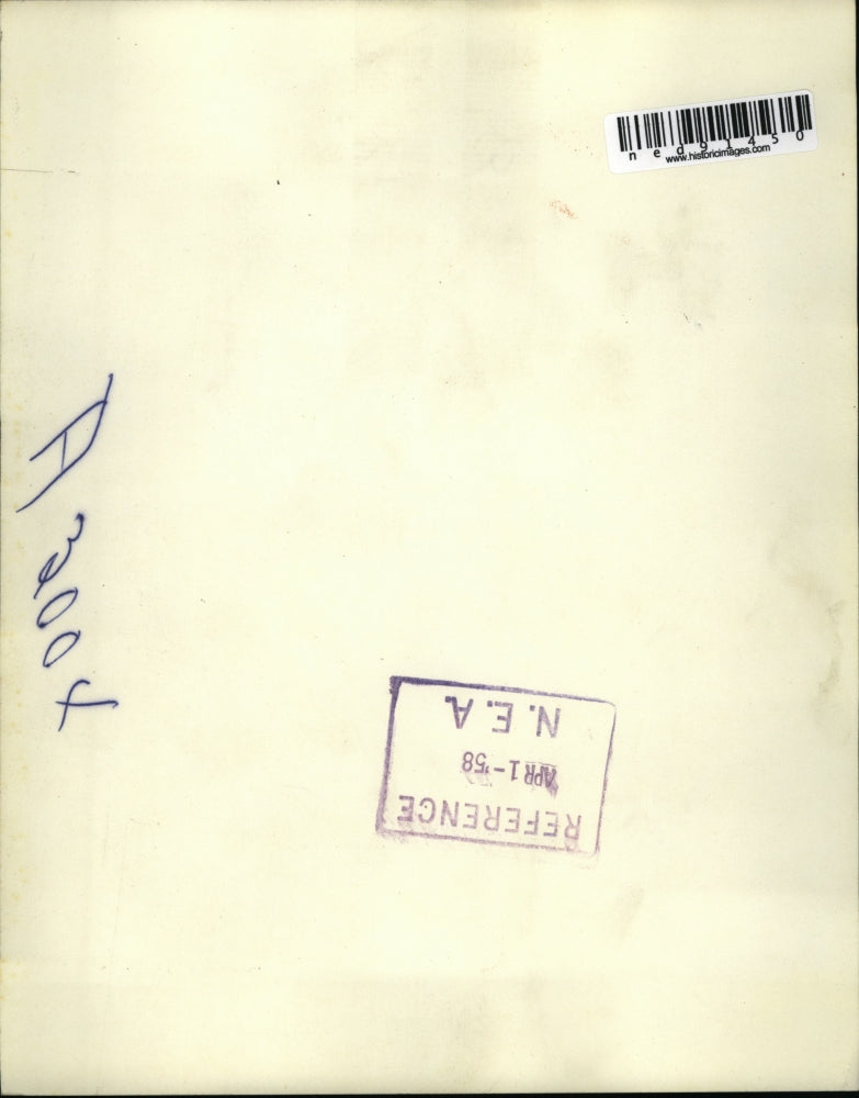 1958 Press Photo of three whitetail deer.