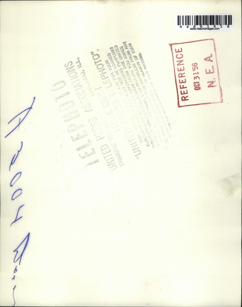 1956 Press Photo of decapitated make deer.