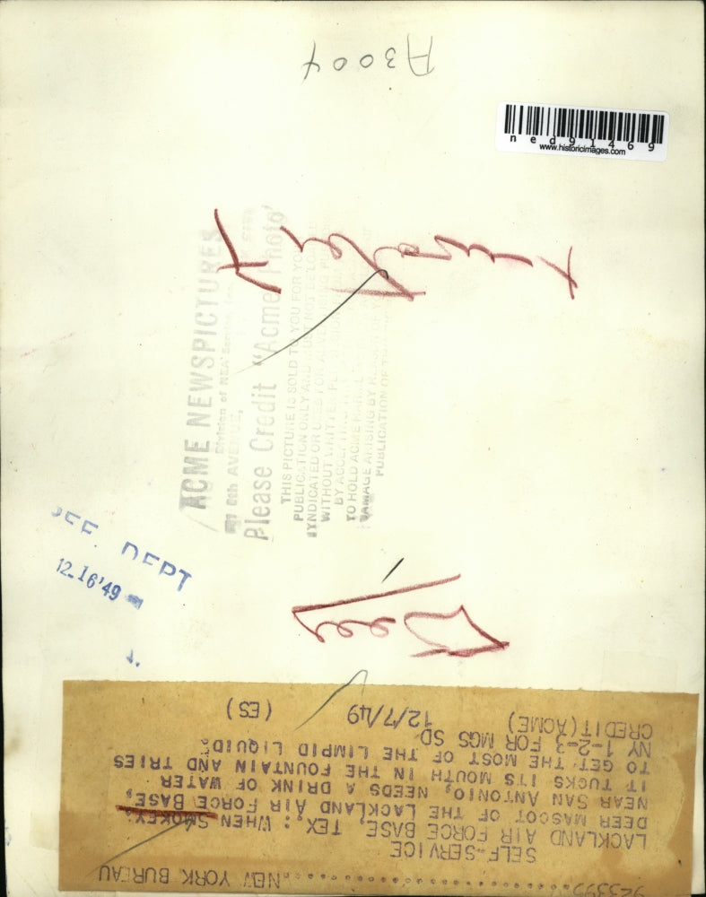 1949 Press Photo of Smokey the Deer, the Lackland Air Force Base mascot.