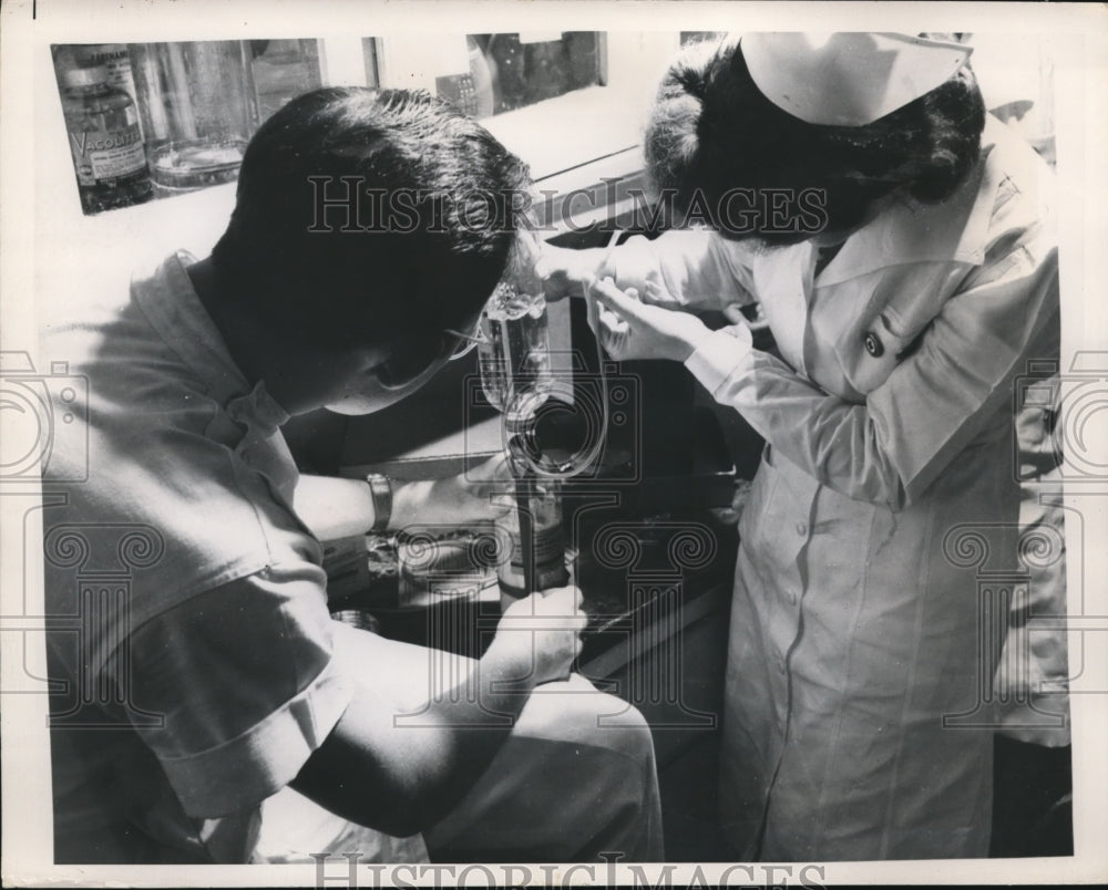 1948 Press Photo Blood transfusion preparation in Gallinger Municipal Hospital
